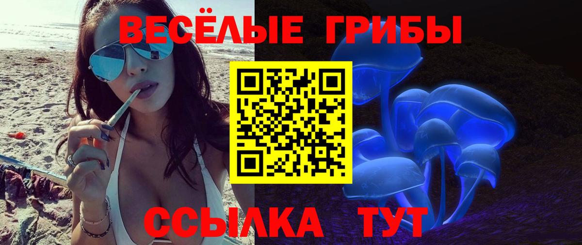 Горно-Алтайск  Псилоцибиновые грибы Cubensis  Вход с VPN 